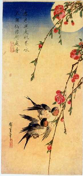 hiroshige_e ptaci.jpg
